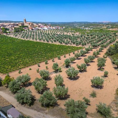 Hotel & Resort Vilar Rural D'Arnes By Serhs Hotels Sant Carles De La Rapita Ngoại thất bức ảnh
