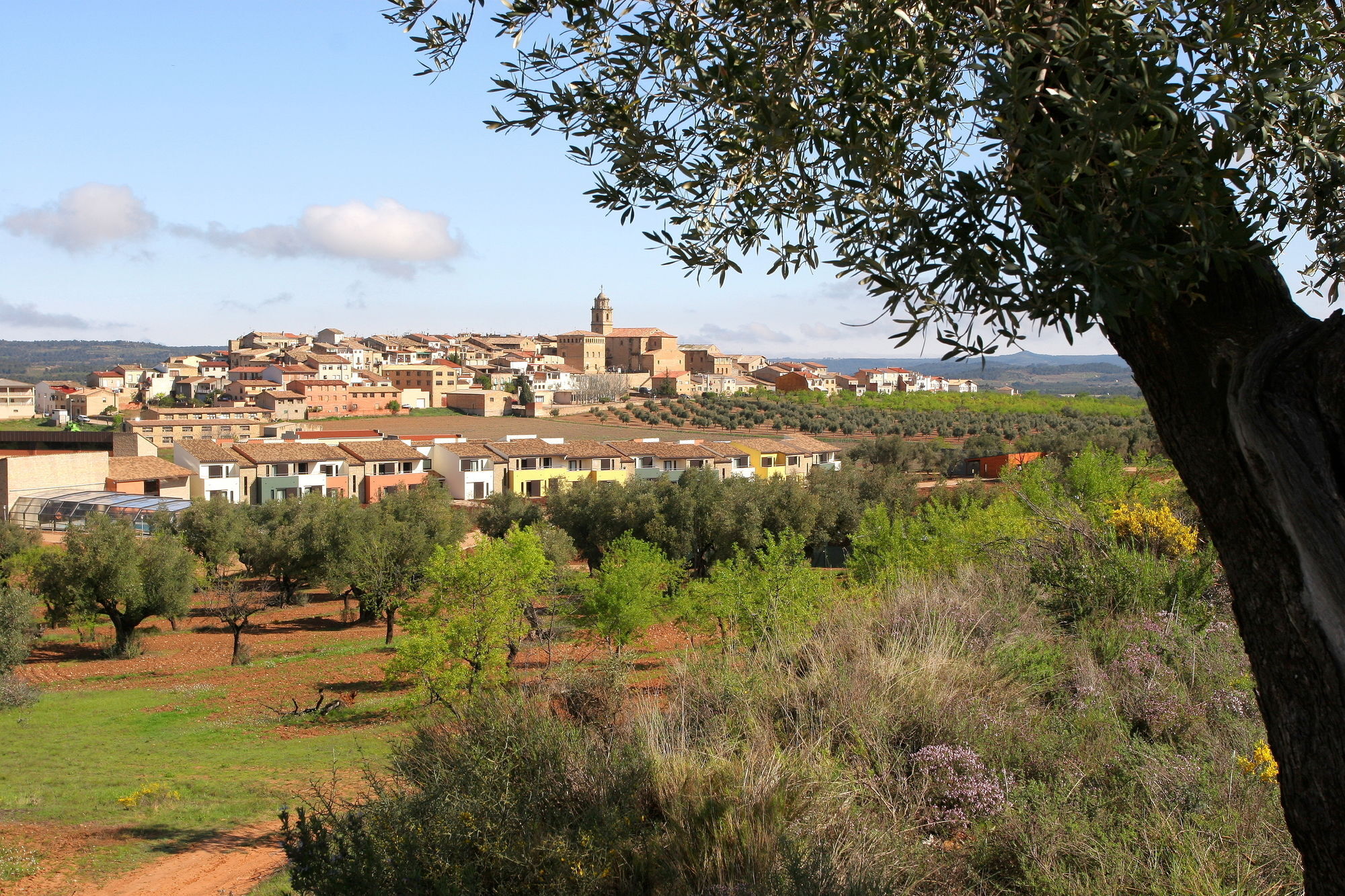 Hotel & Resort Vilar Rural D'Arnes By Serhs Hotels Sant Carles De La Rapita Ngoại thất bức ảnh